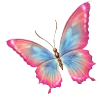 🦋