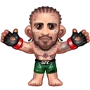 🥊