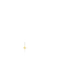 ⭐