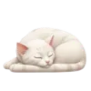 🐈