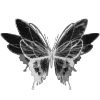 🦋