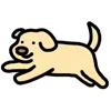 🐶