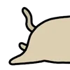 🐈