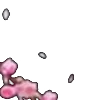 🌸