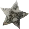 🌟