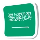 🇸🇦