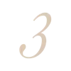3️⃣