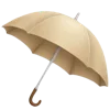 ☂️