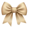 🎀