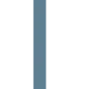 🐋