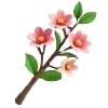 🌷