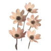 🌸