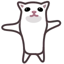 🐱