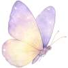 🦋