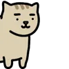 🐈
