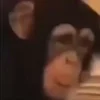 🤨