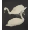 🦢
