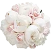 💐