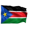 🇸🇸