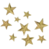 🌟