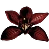 🩸
