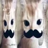 🦢