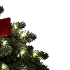 ⭐️