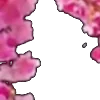 🌸