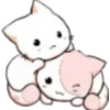 🐈