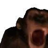 🐒