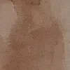 🤎