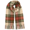 🧣