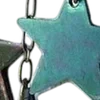 🌟