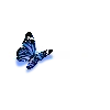 〰️