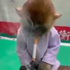 🚬
