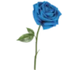 🥀