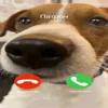 📱