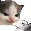 💬