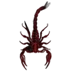 🦂