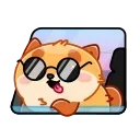 😎