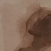 🤎