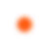🟠