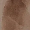 🤎