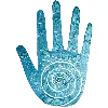 🤚
