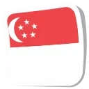 🇸🇬