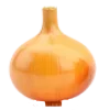 🧅