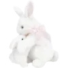 🐰