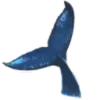 🐋