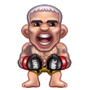🥊