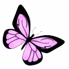 🦋